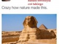 Natura