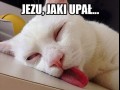 Za gorąco 1