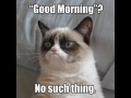 Good morning