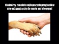 Zgadzam się