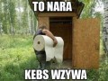 Nara