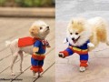Superpies