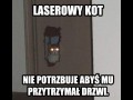 Laserowy kot