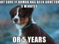 Not sure if