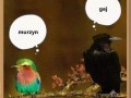 Przyjaźń 1