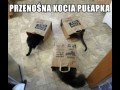 Pułapka