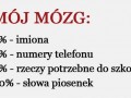 Mój mózg