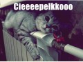 Ciepełko