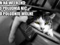 Plan na weekend
