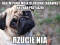 Zabawka