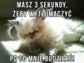 Wyjaśnij to