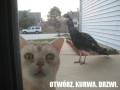 Otwórz no