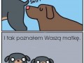 Jak poznałem waszą matkę