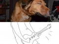 Guitar hero
