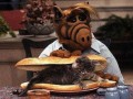 Alf