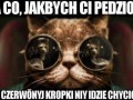 Czerwona kropka