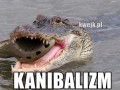 Kanibalizm