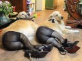 Seksi
