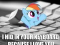 Rainbow dash