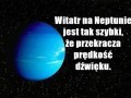 Wiaterek