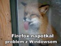 Firefox