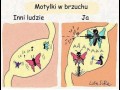Motylki