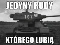 Jedyny rudy