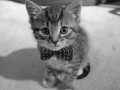 Get the london look
