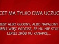 Uczucia mężczyzn