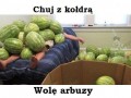Arbuzy