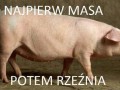 Najpierw masa