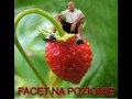 Facet na poziomie