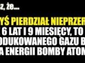 Bąki
