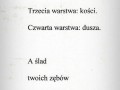Warstwy