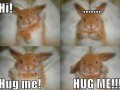 Hug 