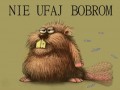 Bóbr