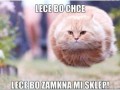 Lecę
