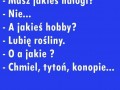 Hobby