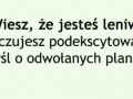 Wiesz
