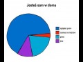 Sam w domu