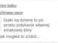 Lizaki