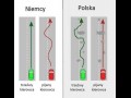 Niemcy vs polska