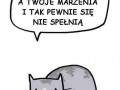 Smutne ale prawdziwe