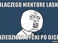 No właśnie dlaczego