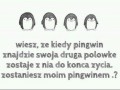 Pingwiny