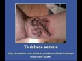 Dobra dziara