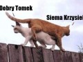 Dobry