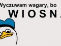 Wiosna 3