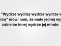 Wydra