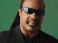 Stevie wonder